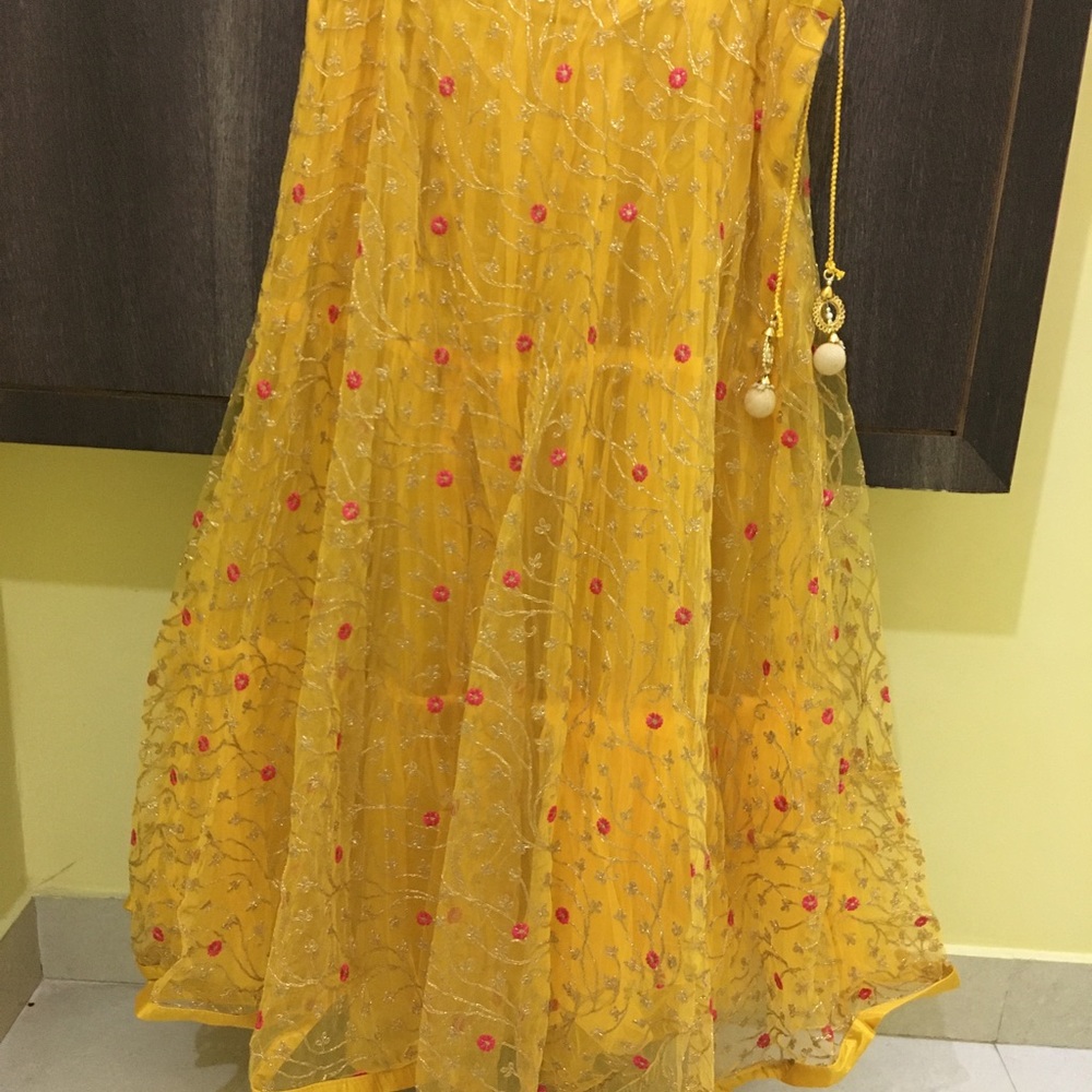 Lehenga in Yellow and Pink - Picture 9 of 16